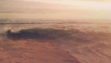 Perseverance of the Saints